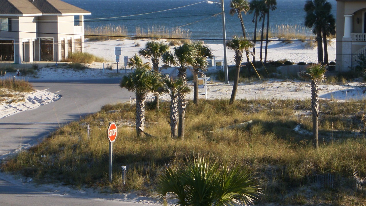 Photo of Others in Toilla Segunda