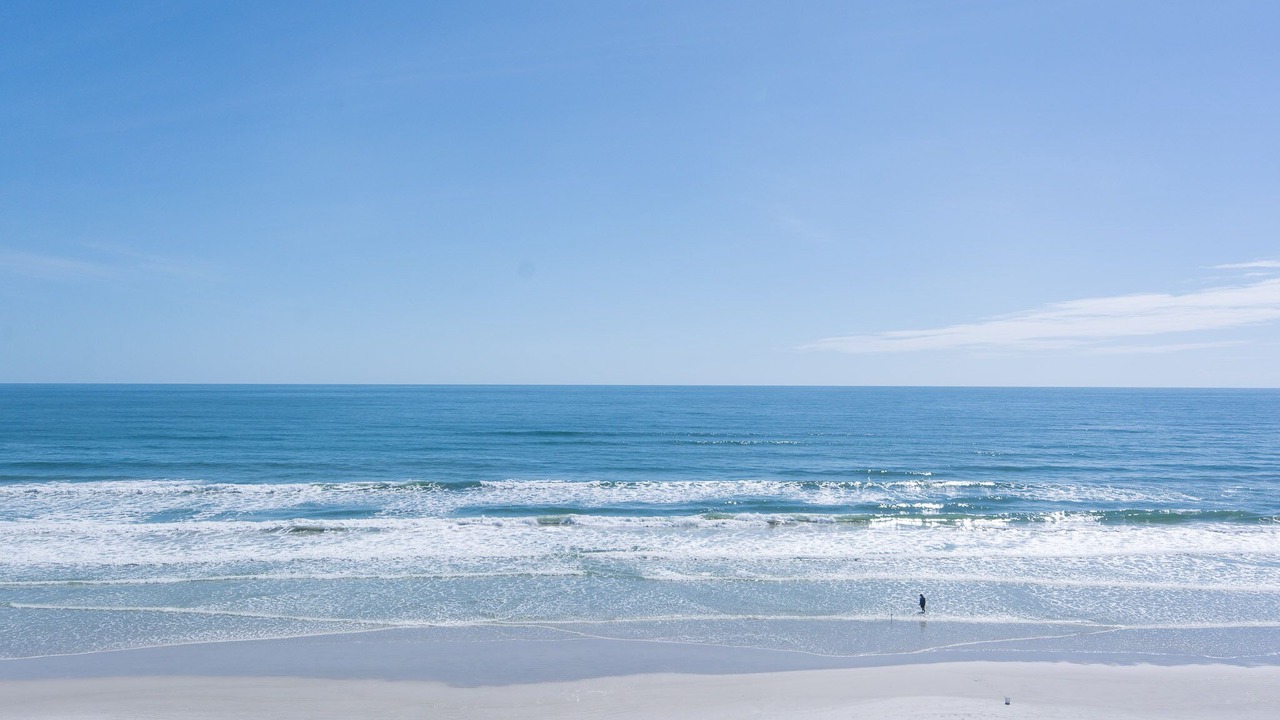Photo of Others in New Smyrna Beach