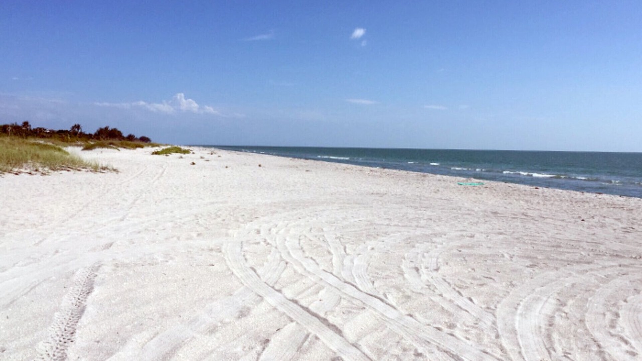 Photo of Others in North Captiva