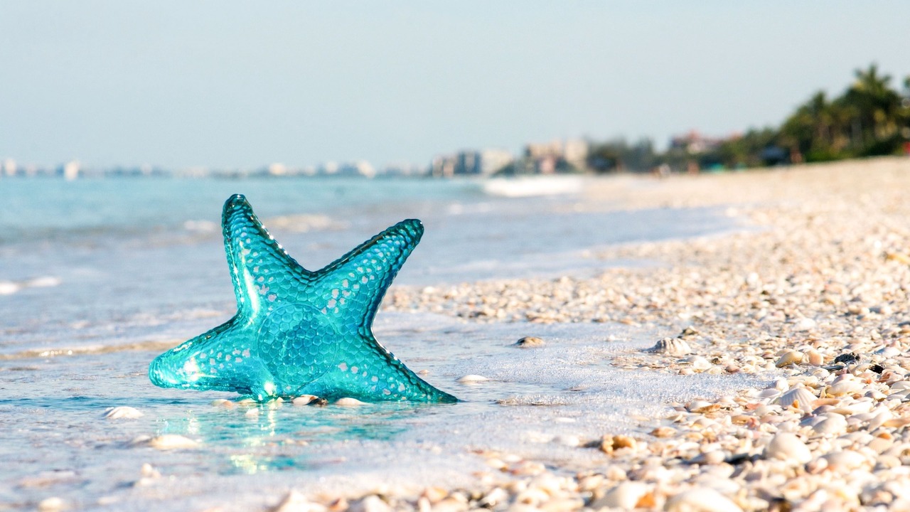 Photo of Others in Bonita Springs