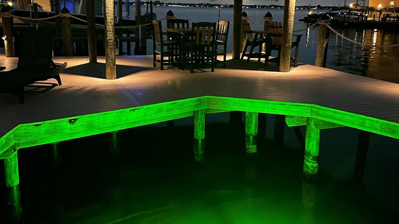 Photo of Outdoor in Caloosahatchee