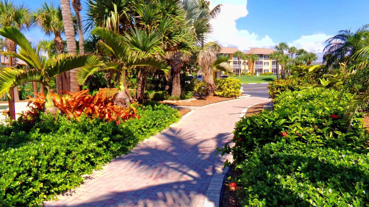 Photo of Outdoor in Fort Pierce
