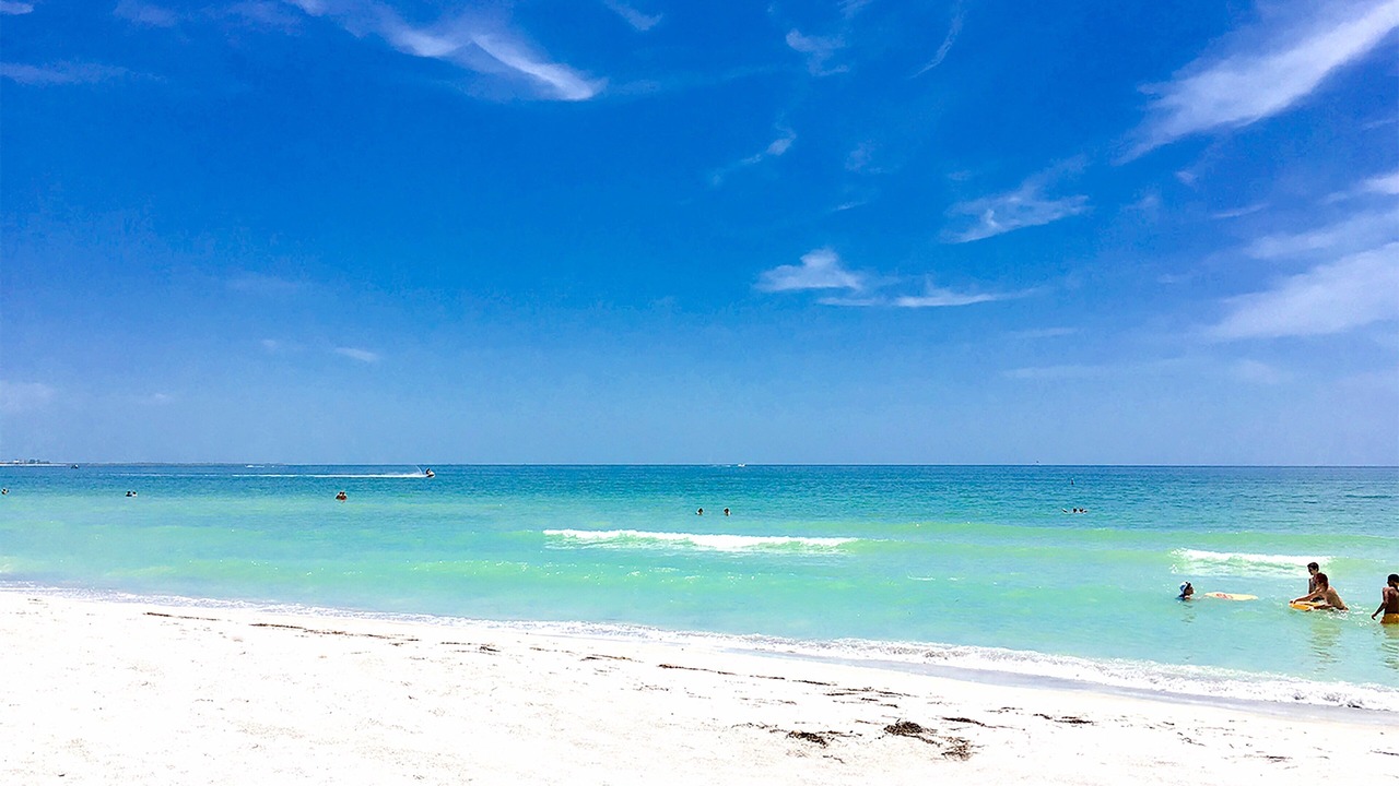 Photo of Others in St. Pete Beach