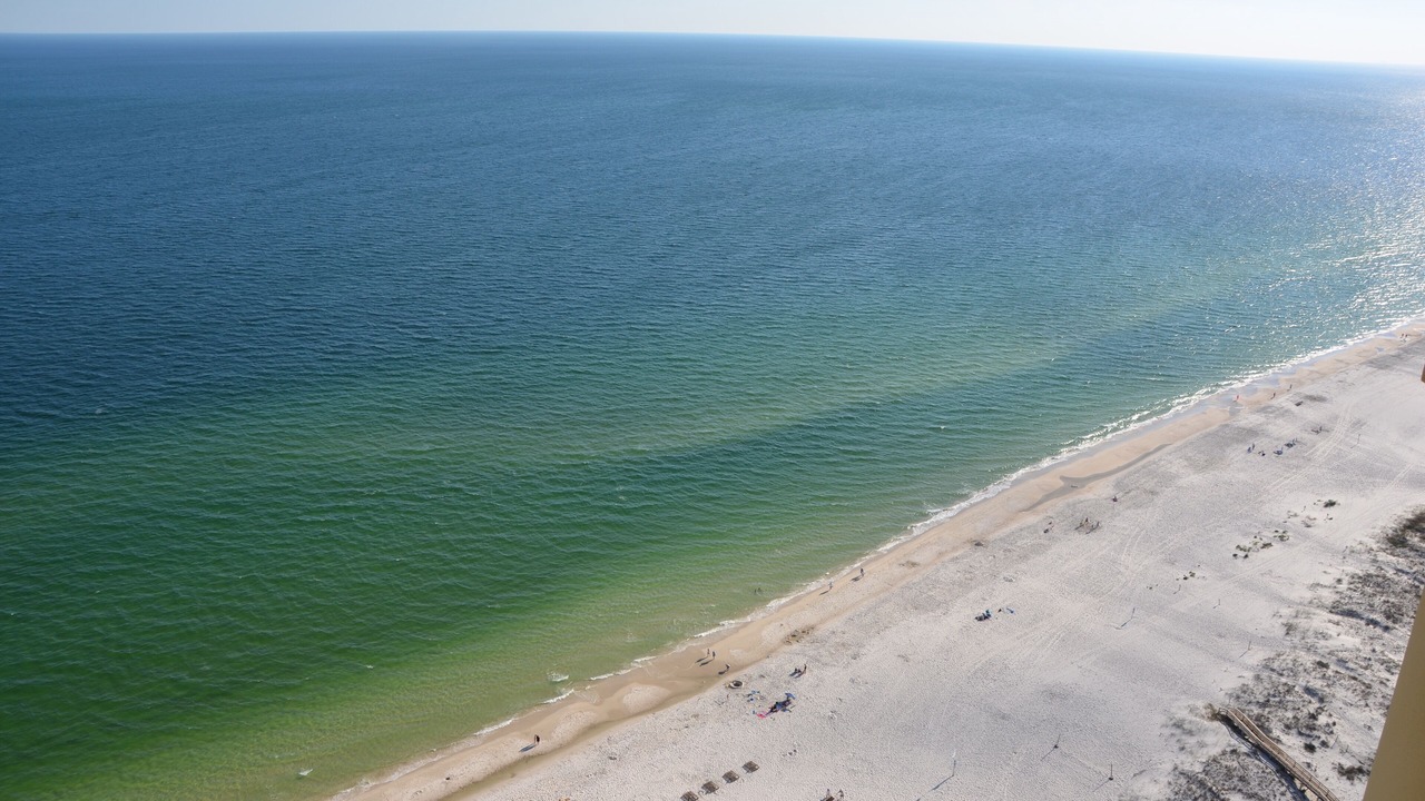 Photo of Others in Orange Beach