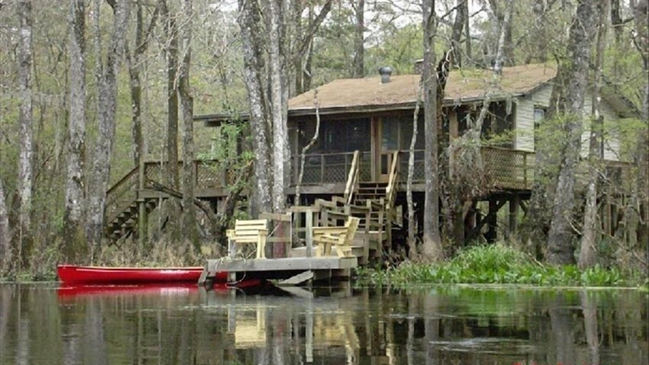 Photo of Others in Tallahassee