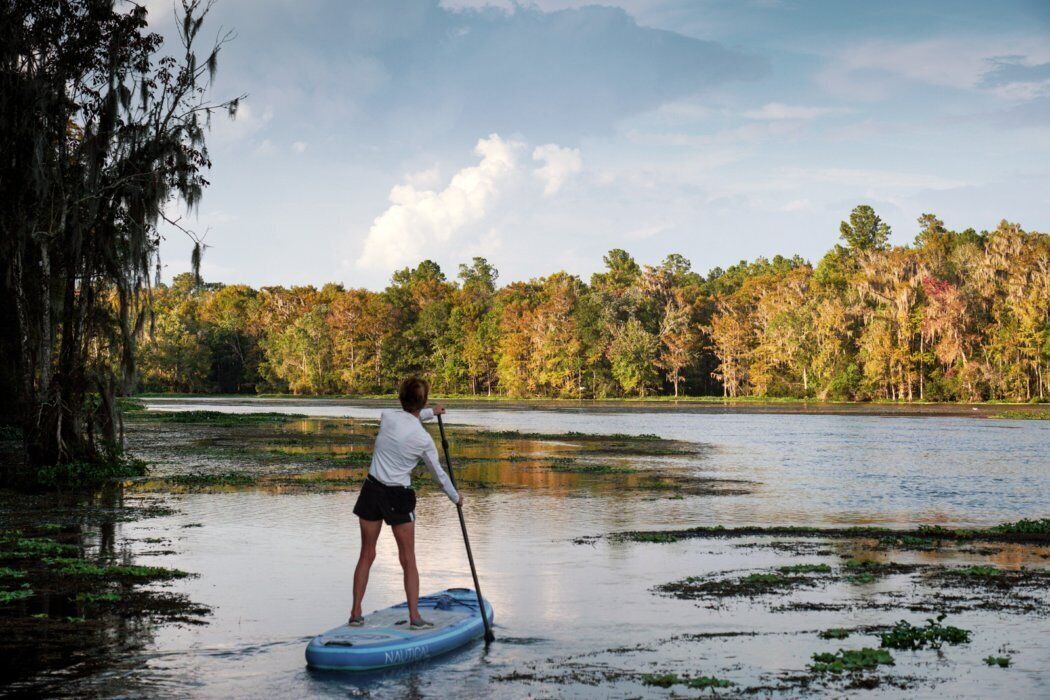 Photo of Others in Tallahassee