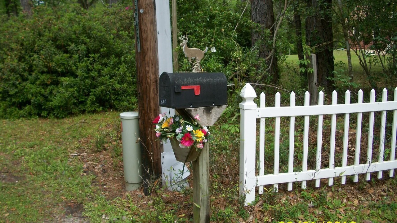Photo of Outdoor in Tallahassee