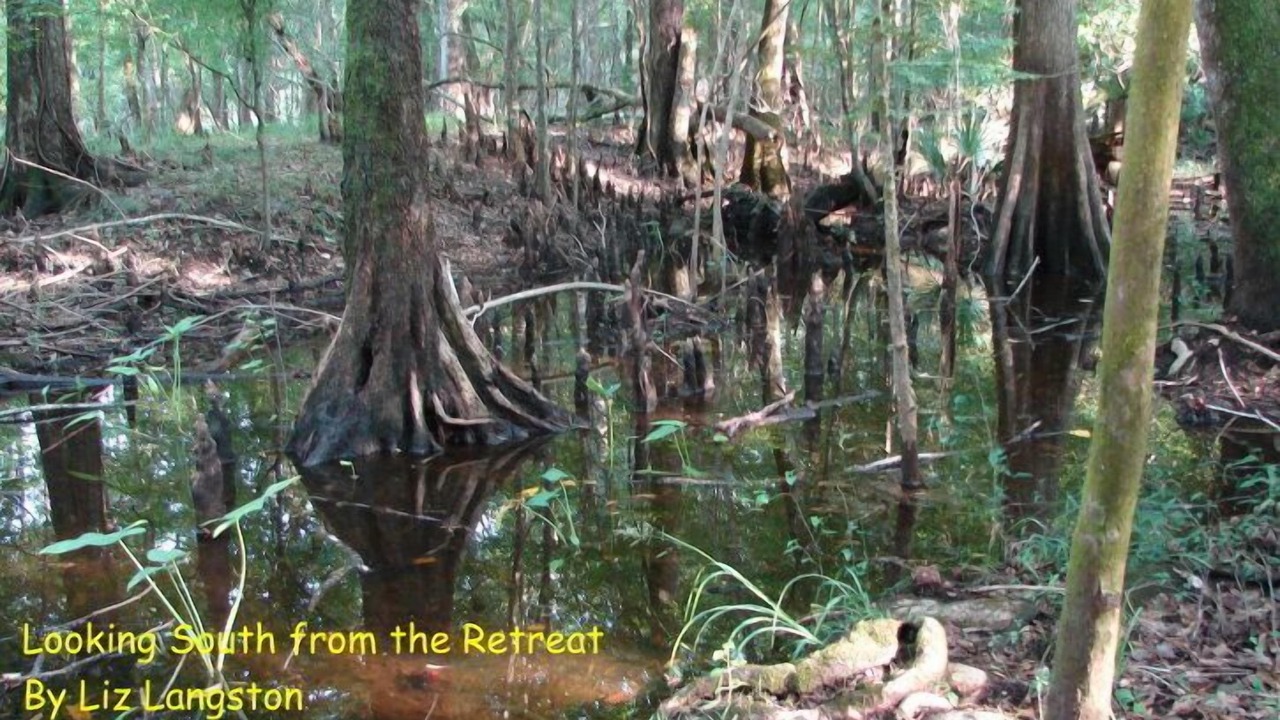 Photo of Outdoor in Tallahassee