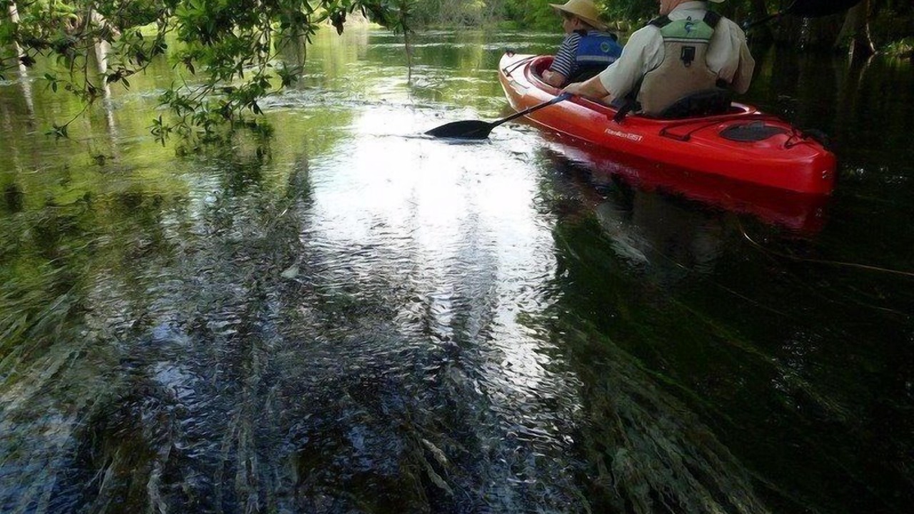 Photo of Others in Tallahassee