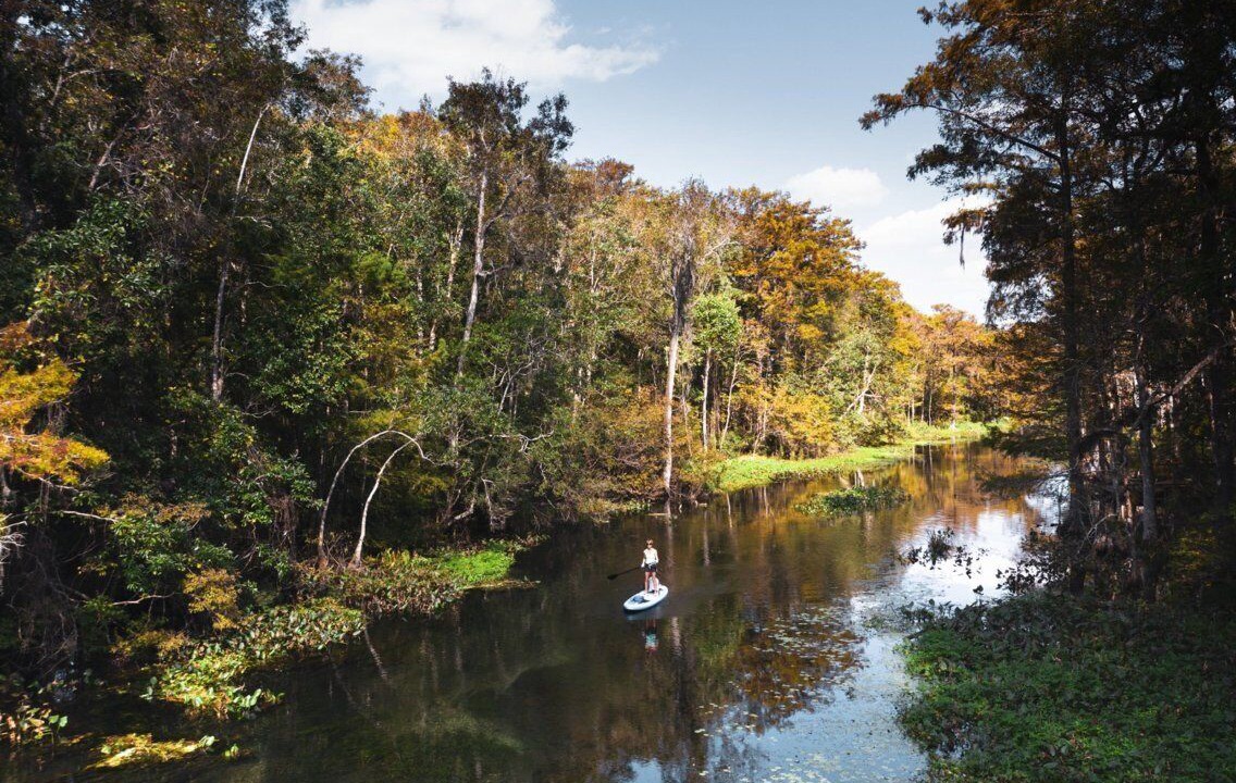 Photo of Others in Tallahassee