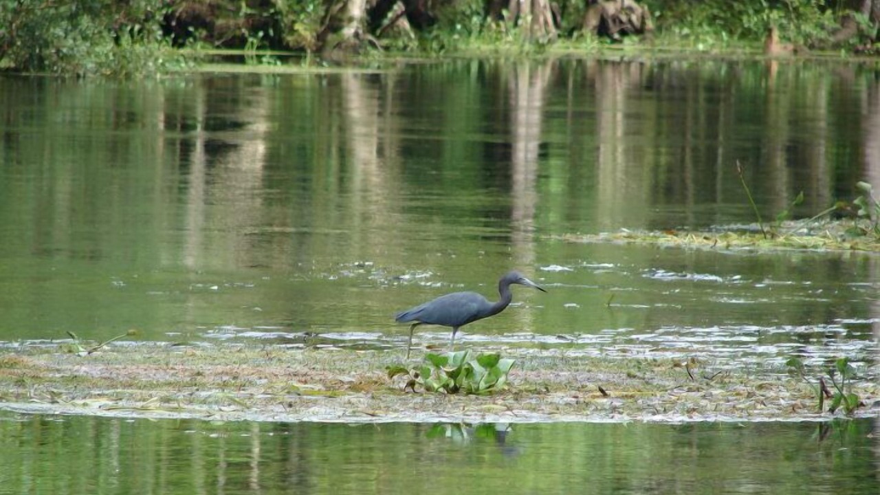 Photo of Outdoor in Tallahassee