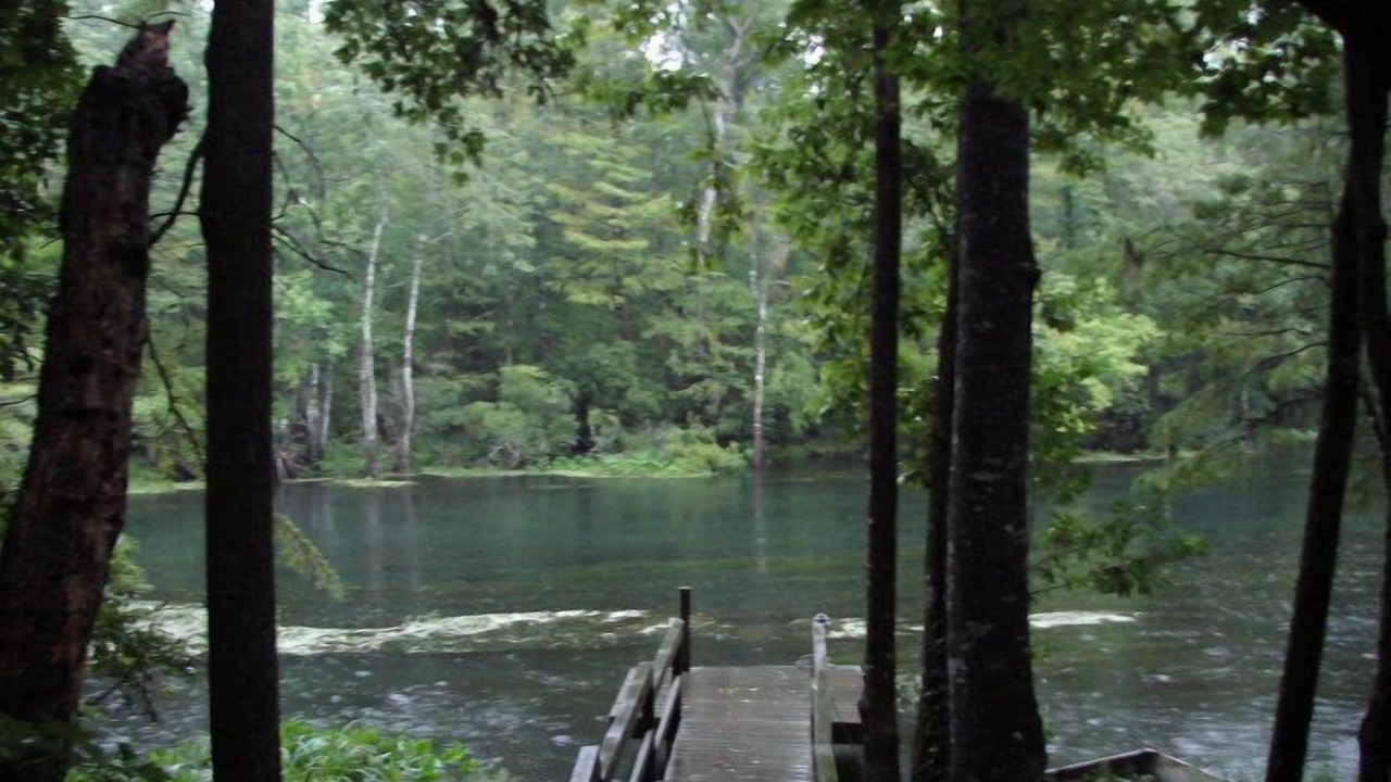 Photo of Others in Tallahassee