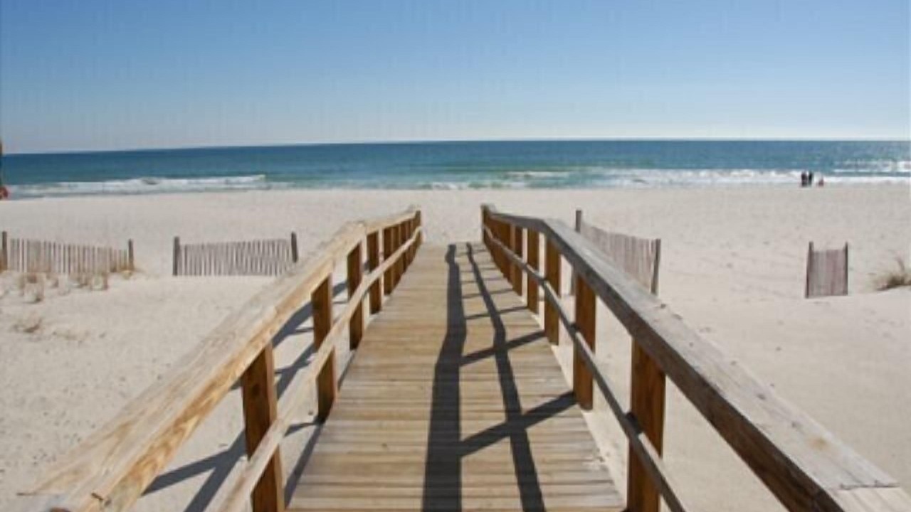 Photo of Others in Gulf Shores
