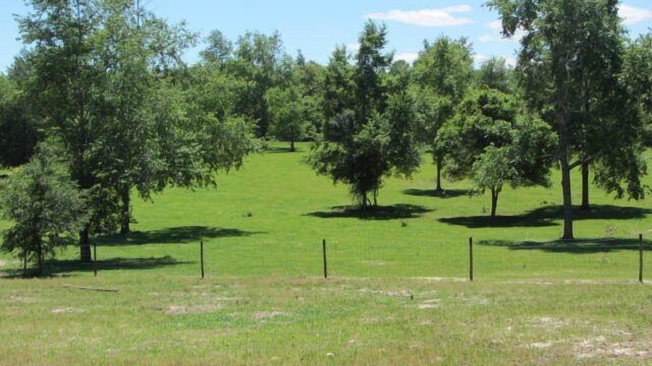 Photo of Outdoor in Trenton