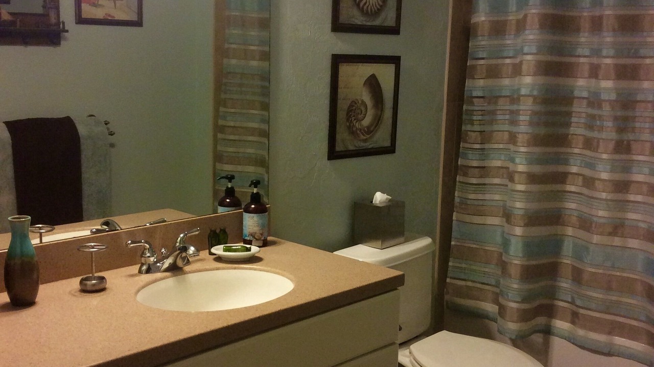 Photo of Bathroom in Suwannee