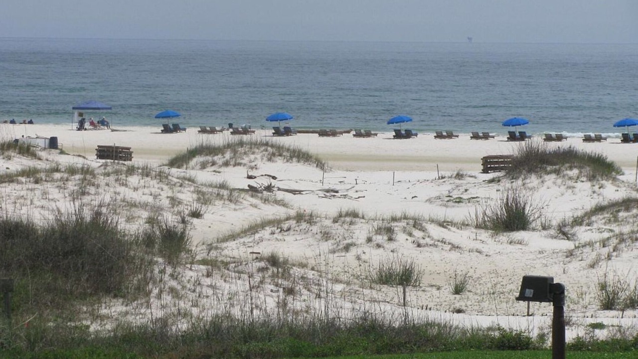 Photo of Others in Fort Morgan