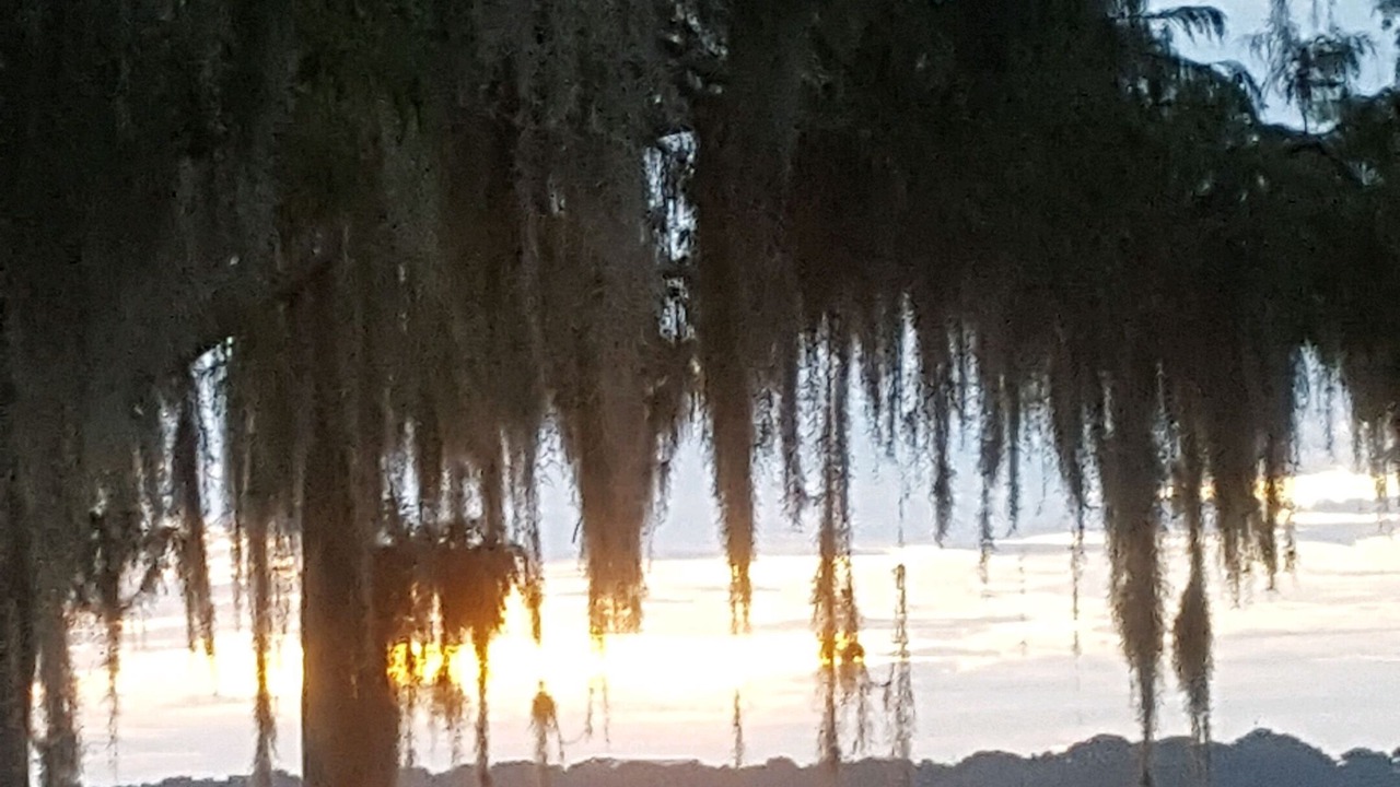 Photo of Outdoor in Plymouth