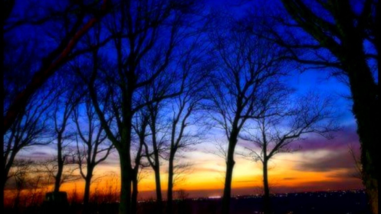 Photo of Outdoor in Mentone