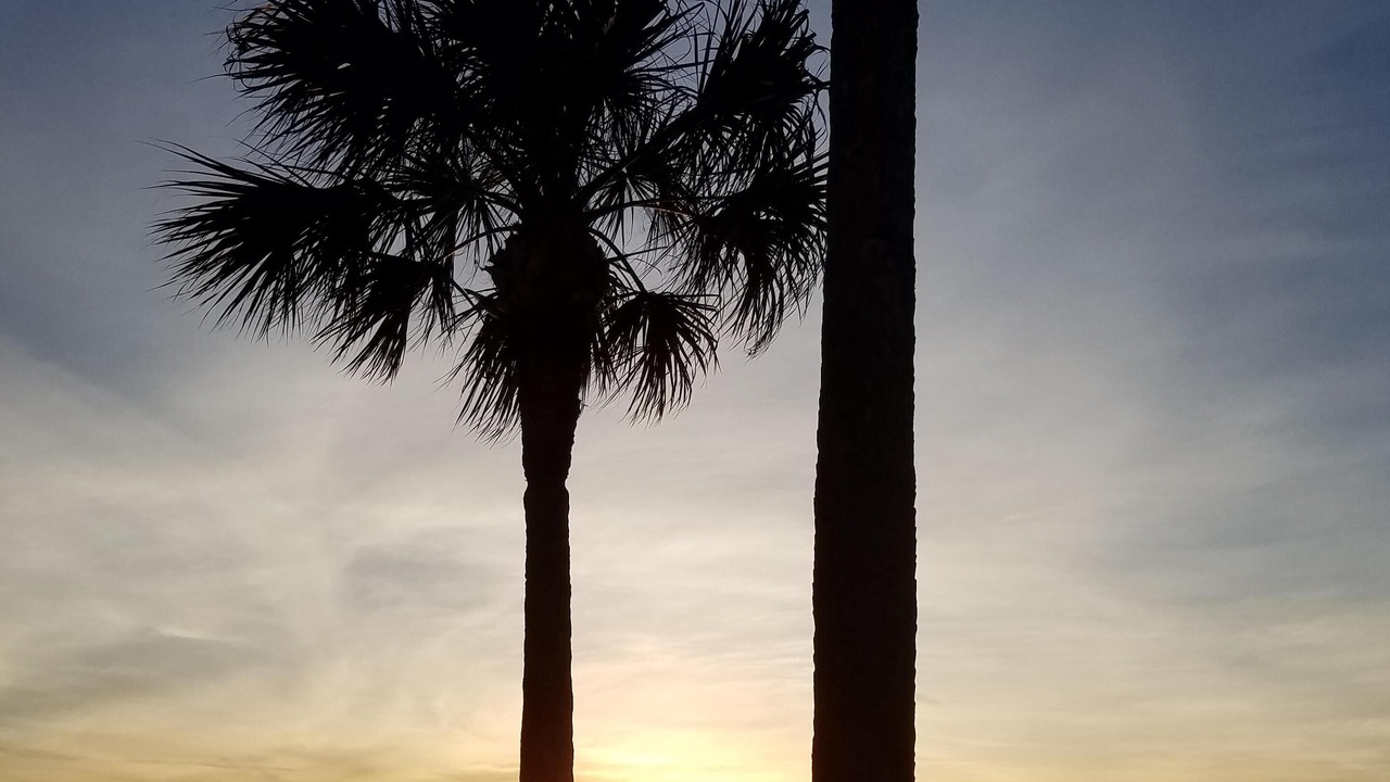 Photo of Others in Belleair Beach
