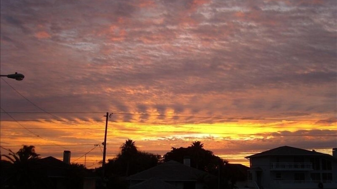 Photo of Others in Belleair Beach