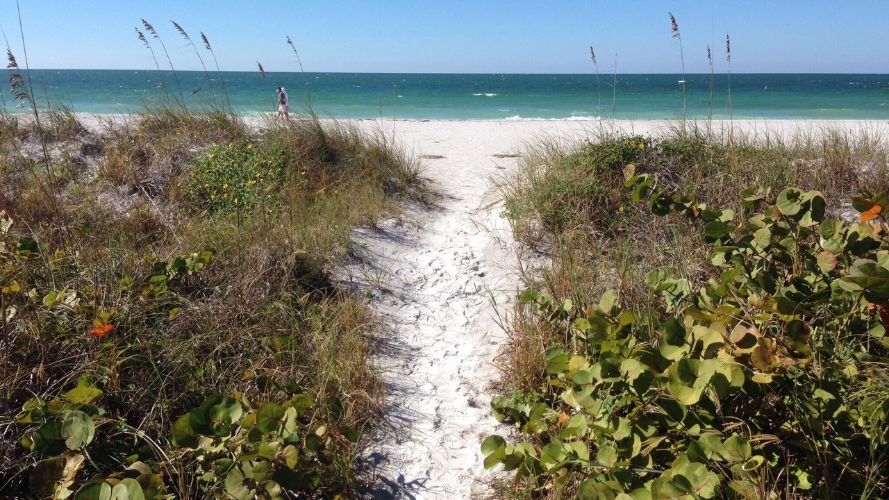 Photo of Others in Belleair Beach