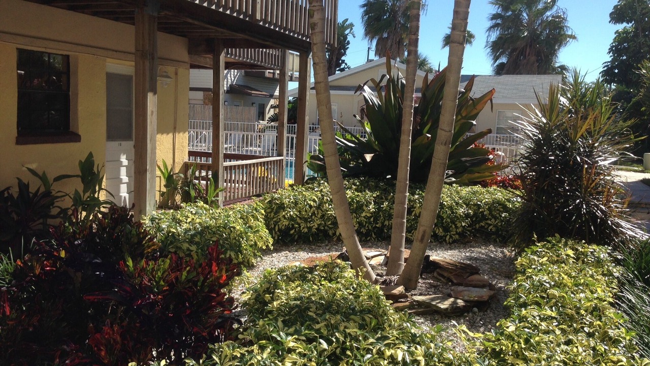 Photo of Outdoor in Belleair Beach