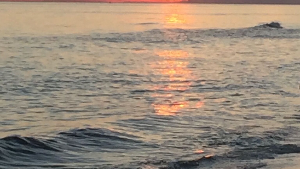 Photo of Others in Sandestin