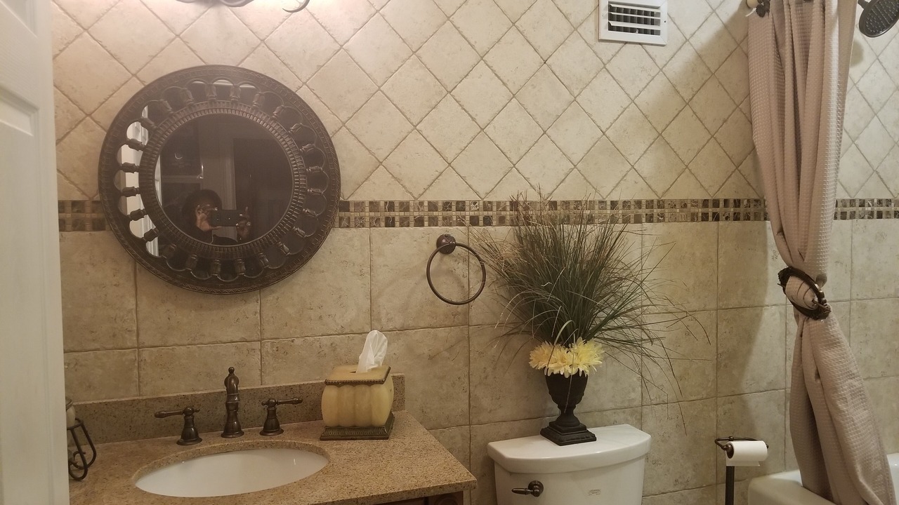 Photo of Bathroom in Lutz
