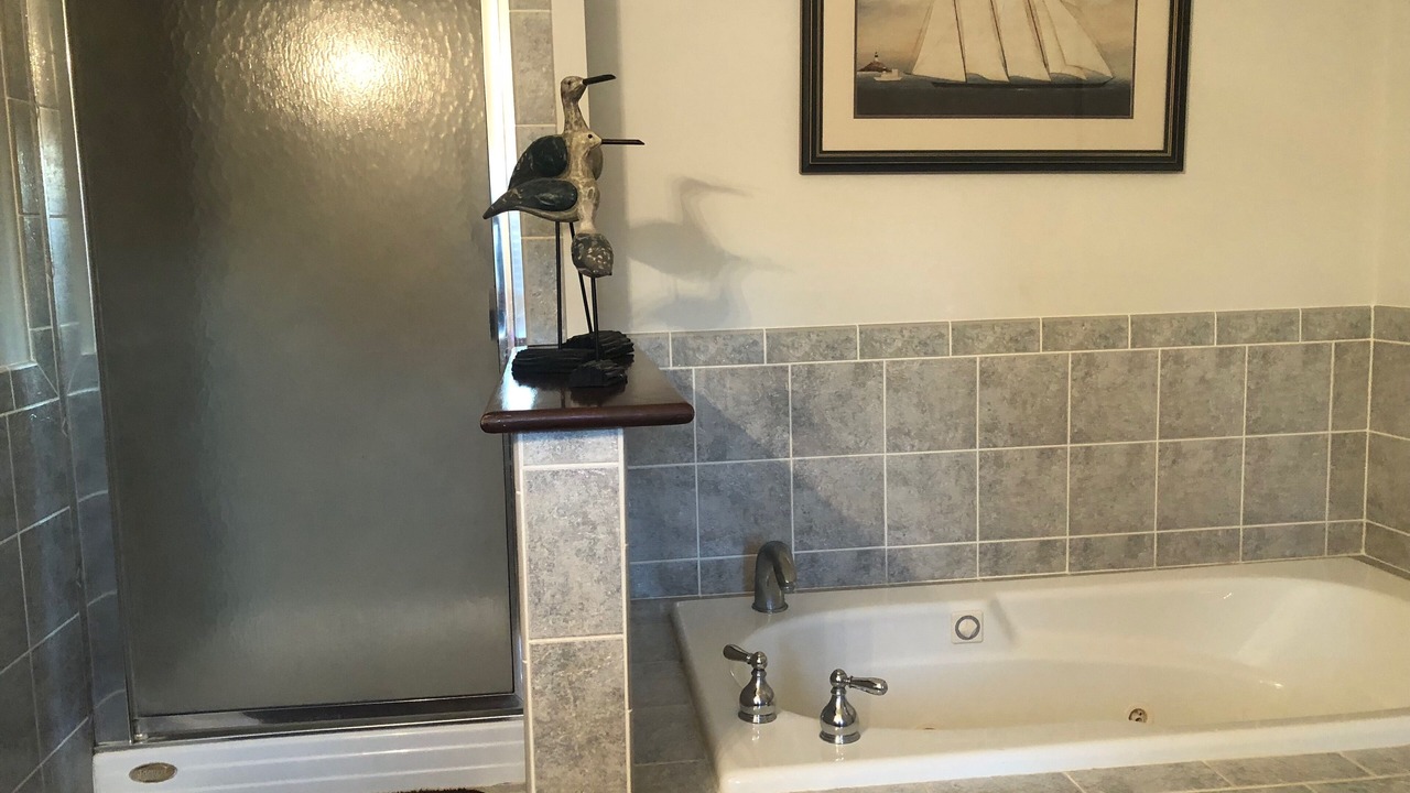 Photo of Bathroom in Lutz