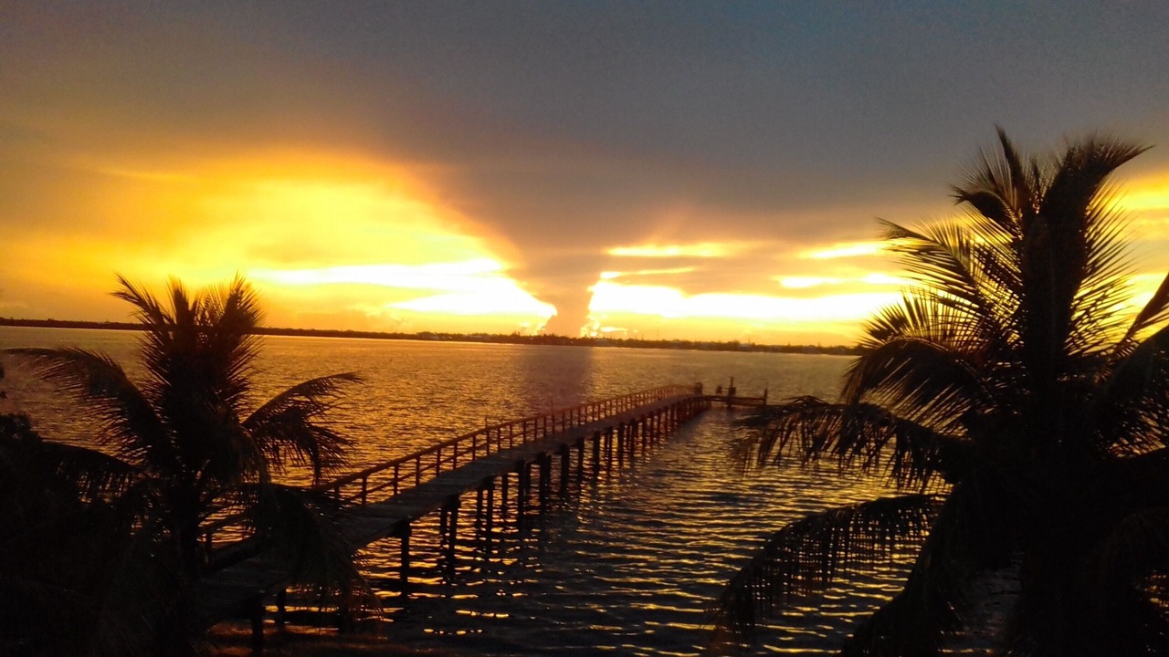 Photo of Others in Little Torch Key