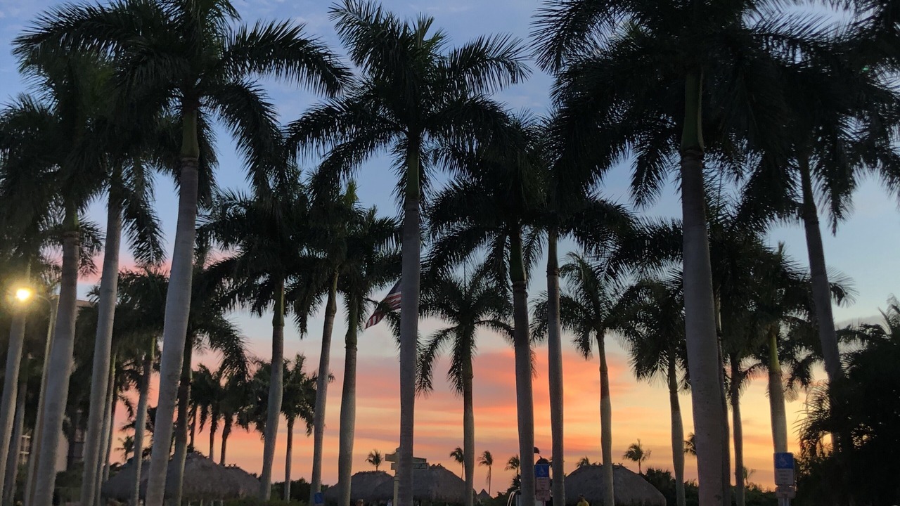 Photo of Others in Marco Island