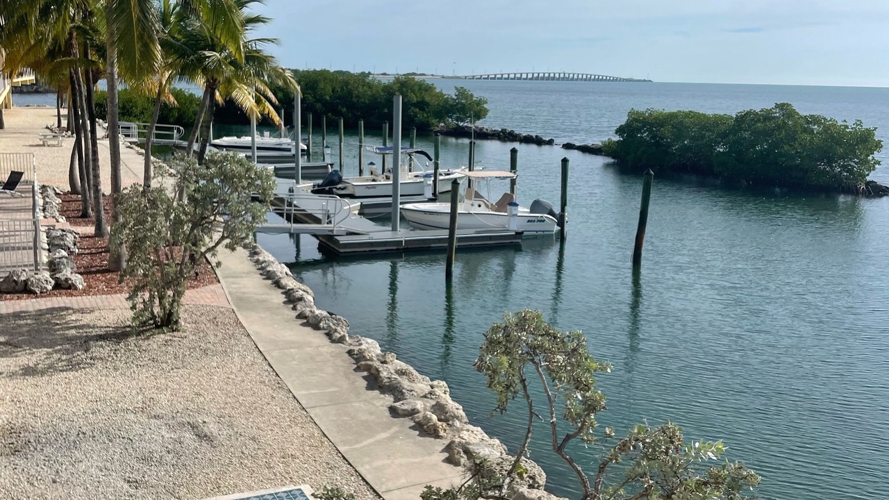 Photo of Others in Long Key