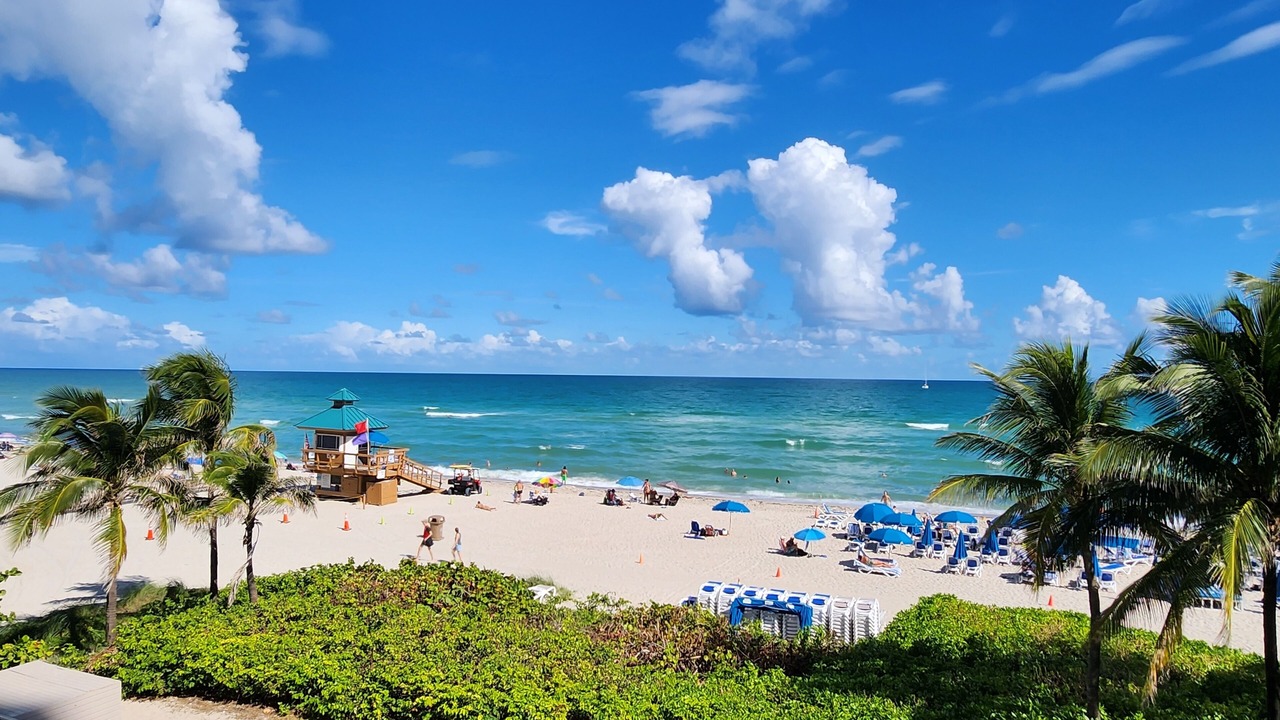 Photo of Others in Sunny Isles Beach
