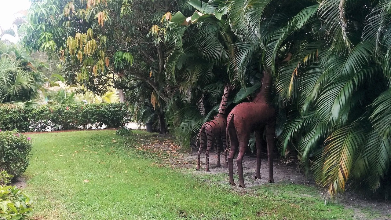 Photo of Others in Deerfield Beach