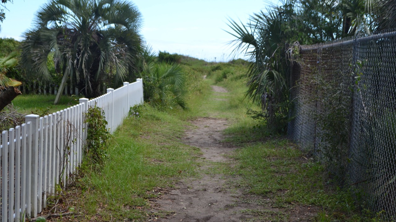 Photo of Others in Isle of Palms