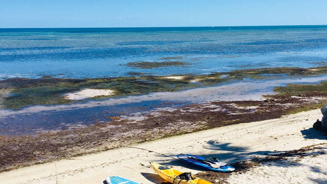 Photo of Others in Islamorada