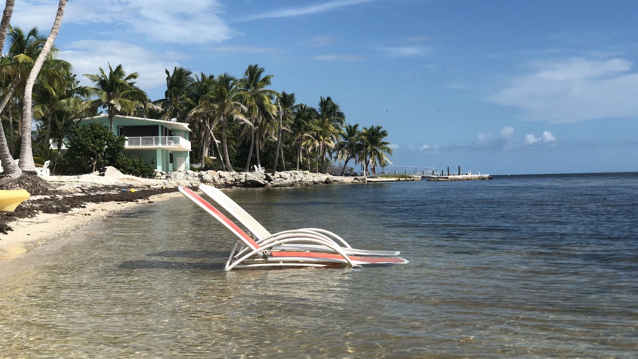 Photo of Others in Islamorada