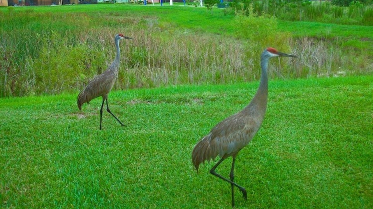 Photo of Outdoor in Silver Creek