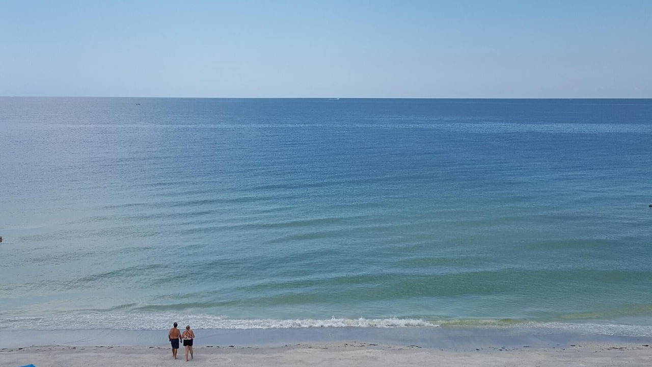 Photo of Outdoor in Redington Beach