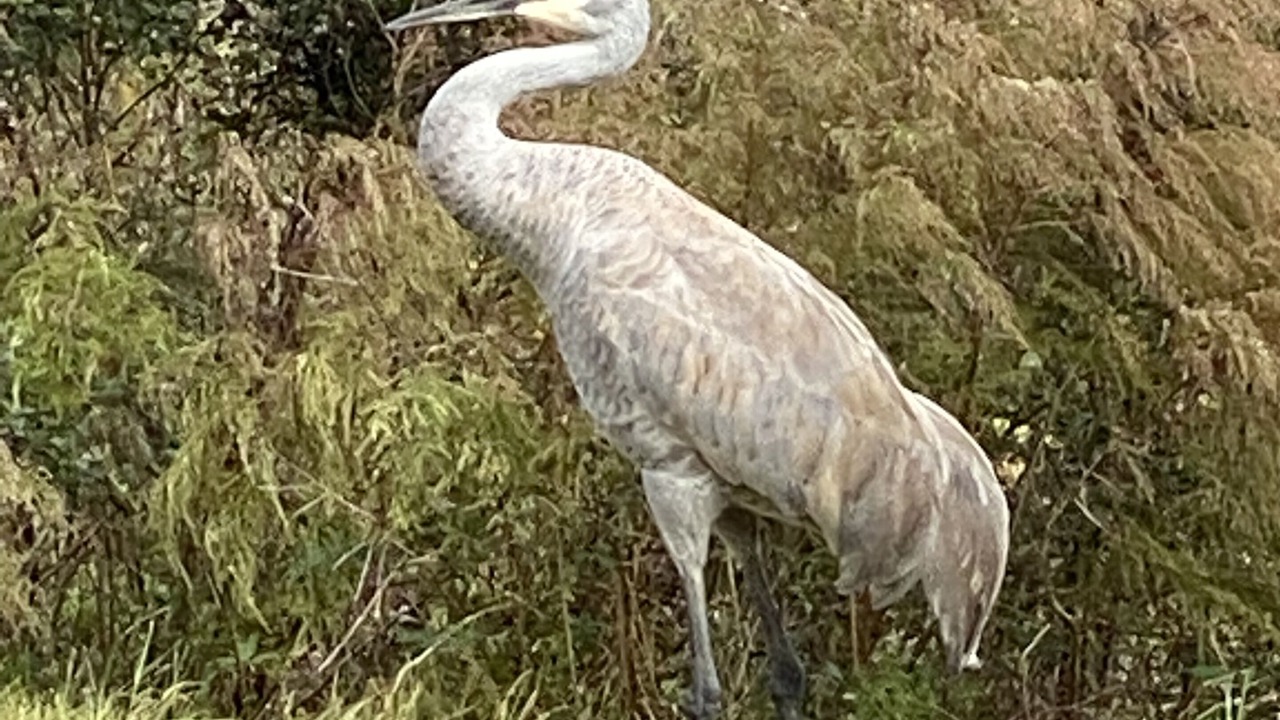 Photo of Outdoor in Silver Creek