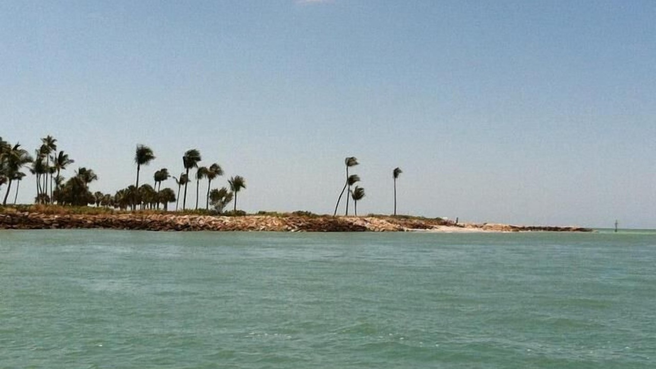 Photo of Others in Pelican
