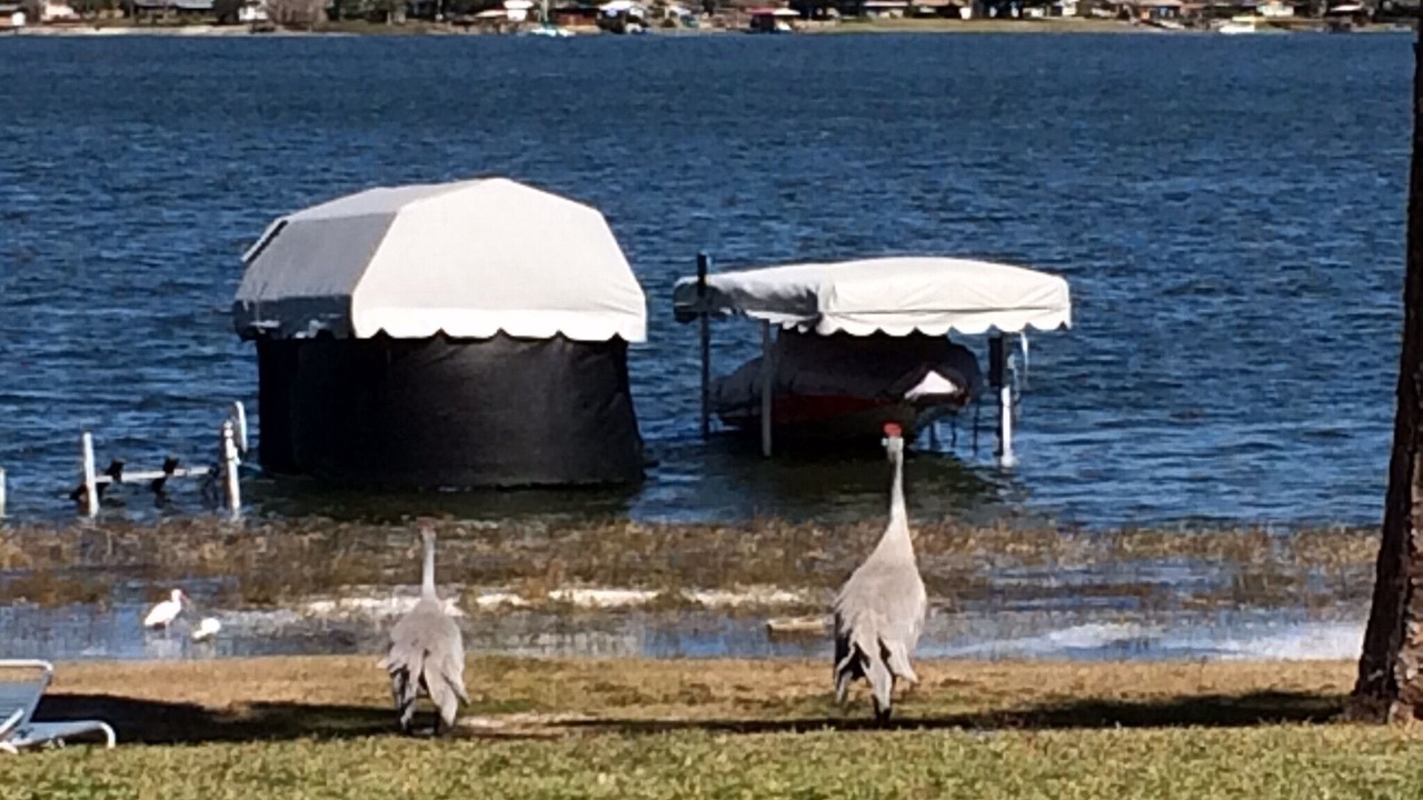 Photo of Others in Summerfield