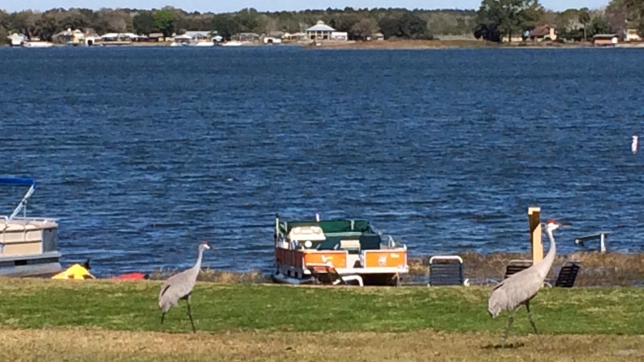 Photo of Others in Summerfield