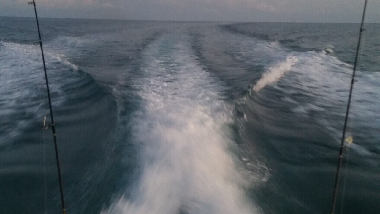 Photo of Others in Tavernier