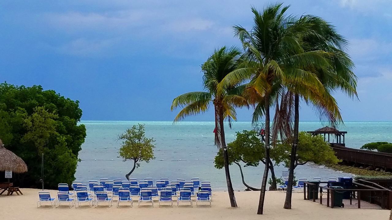 Photo of Others in Tavernier