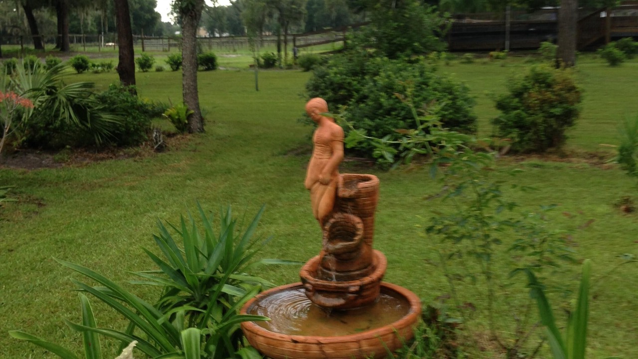 Photo of Others in Deleon Springs Heights