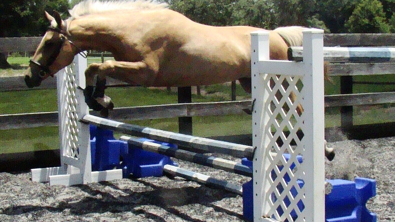 Photo of Others in Deleon Springs Heights