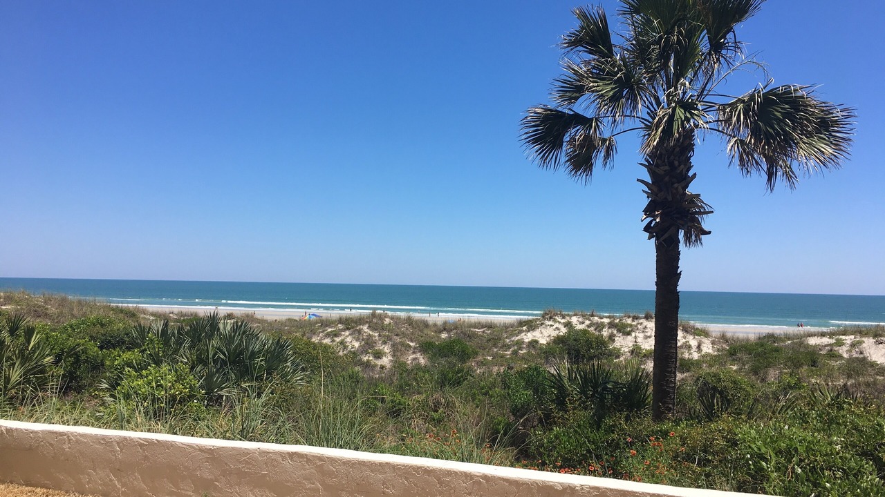 Photo of Others in Crescent Beach