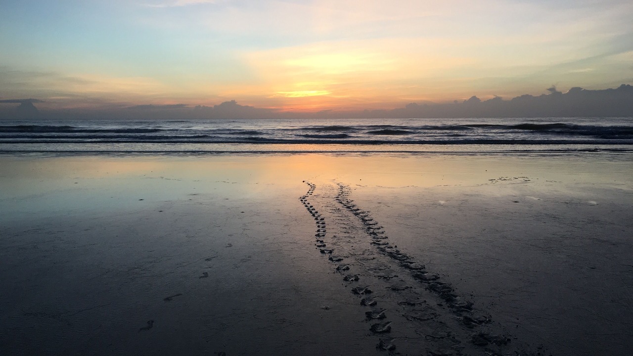 Photo of Others in Crescent Beach
