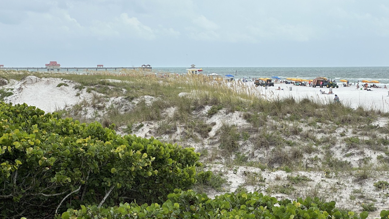 Photo of Others in Clearwater Beach